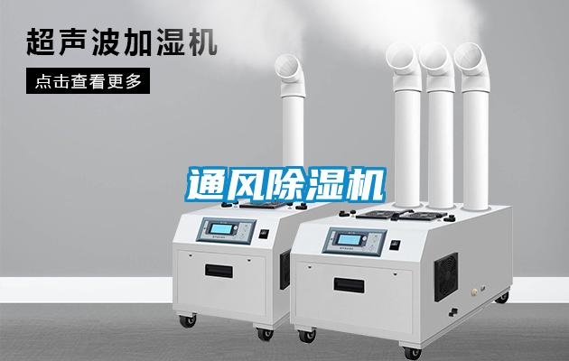 通风麻豆视频黄网站