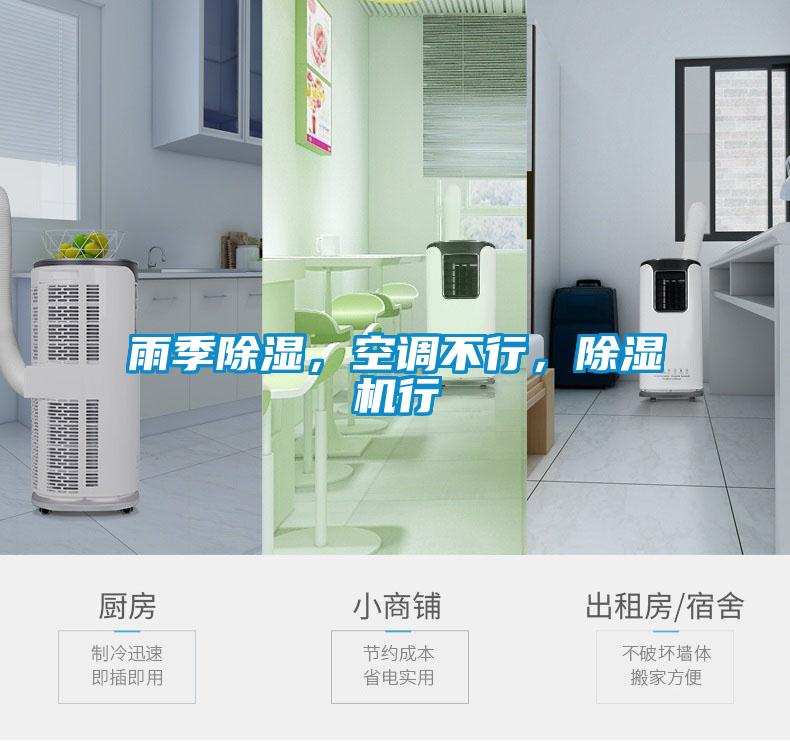 雨季除湿，空调不行，麻豆视频黄网站行