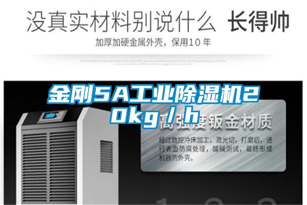 金刚5A工业麻豆视频黄网站20kg／h