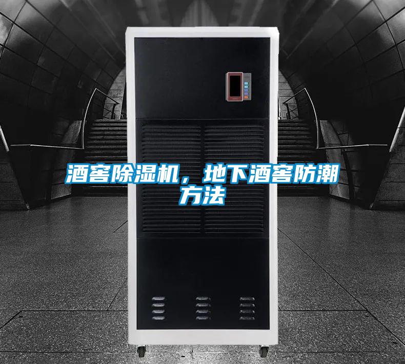酒窖麻豆视频黄网站，地下酒窖防潮方法
