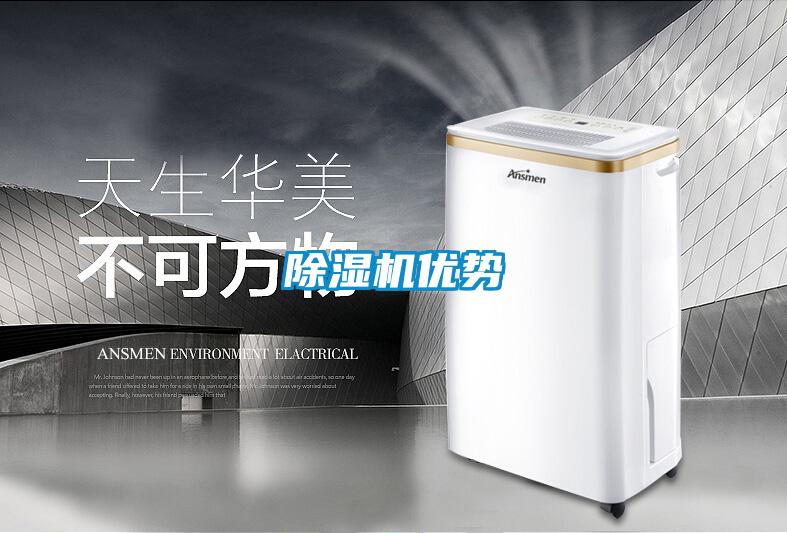 麻豆视频黄网站优势