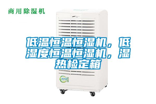 低温恒温恒湿机，低湿度恒温恒湿机，湿热检定箱