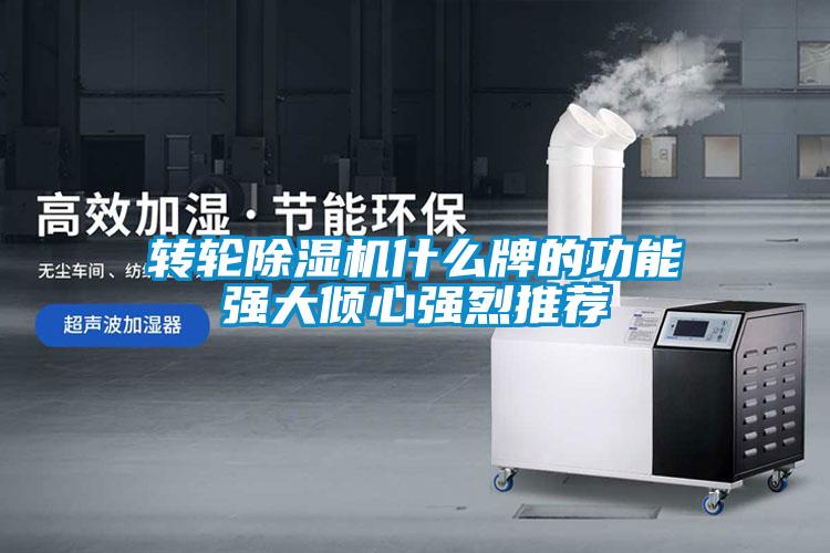 转轮麻豆视频黄网站什么牌的功能强大倾心强烈推荐