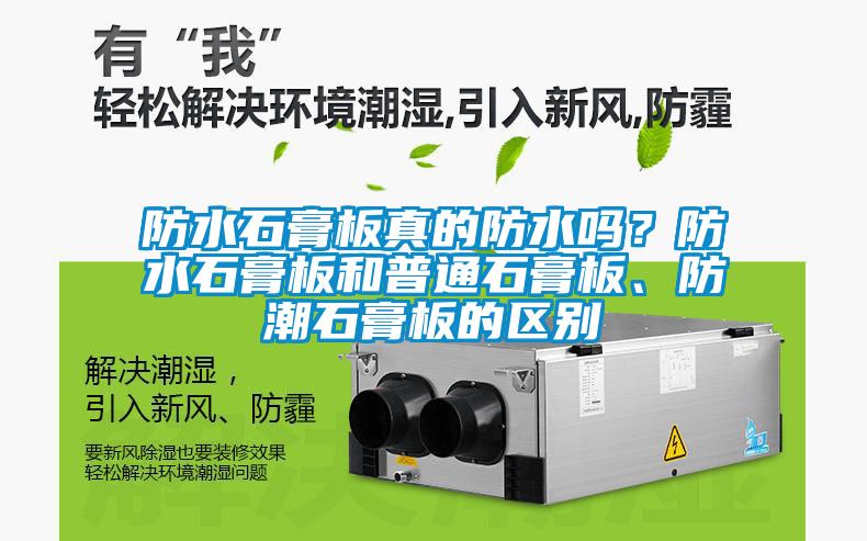 防水石膏板真的防水吗？防水石膏板和普通石膏板、防潮石膏板的区别