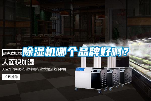 麻豆视频黄网站哪个品牌好啊?