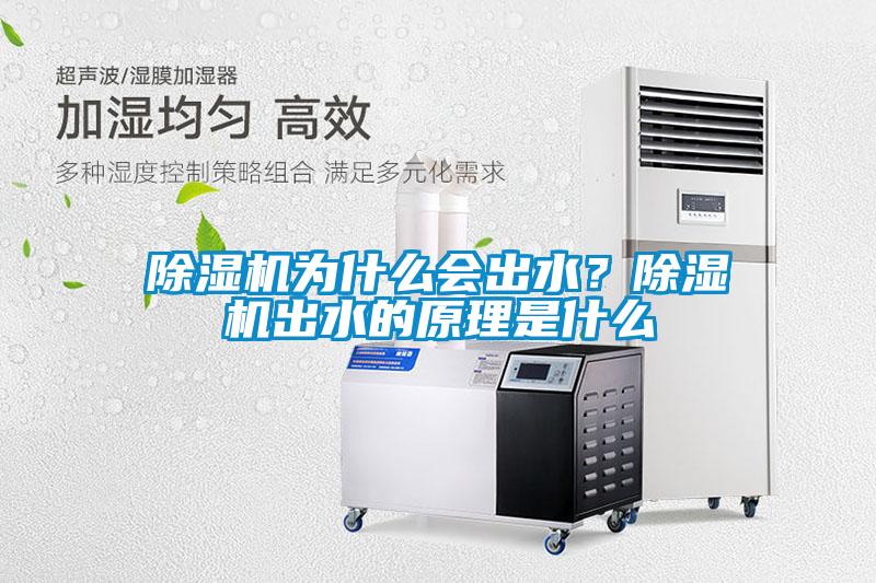 麻豆视频黄网站为什么会出水？麻豆视频黄网站出水的原理是什么