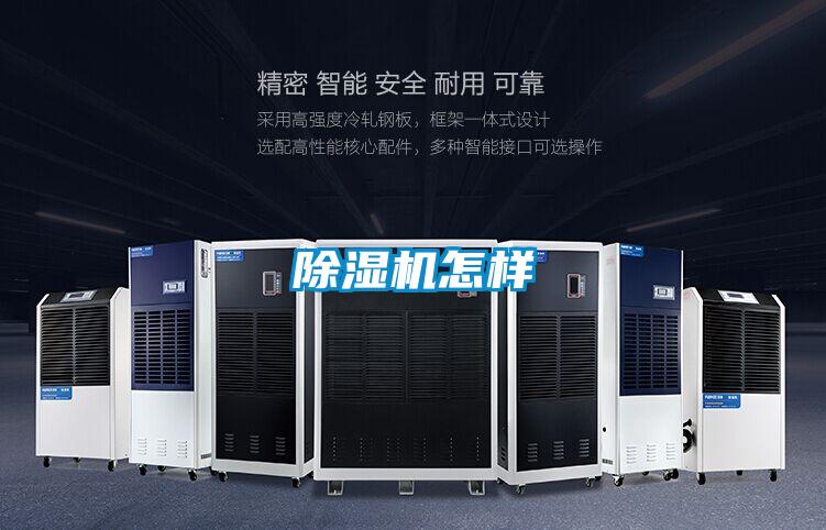 麻豆视频黄网站怎样