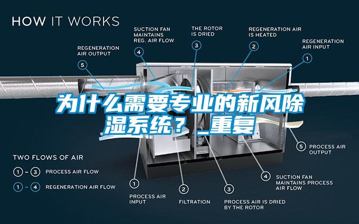 为什么需要专业的新风除湿系统？_重复
