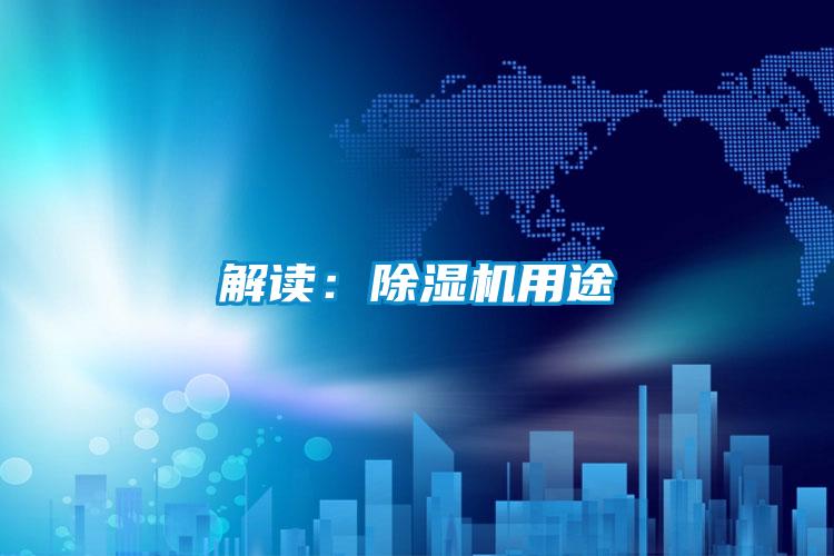 解读：麻豆视频黄网站用途