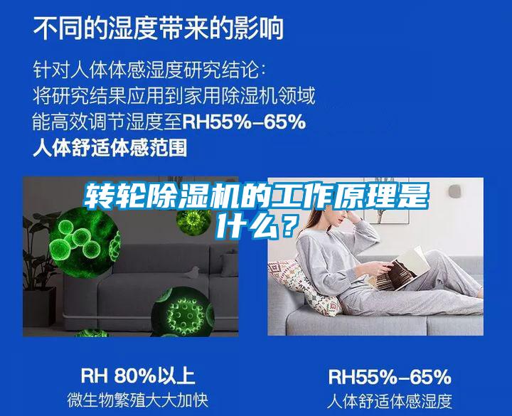 转轮麻豆视频黄网站的工作原理是什么？