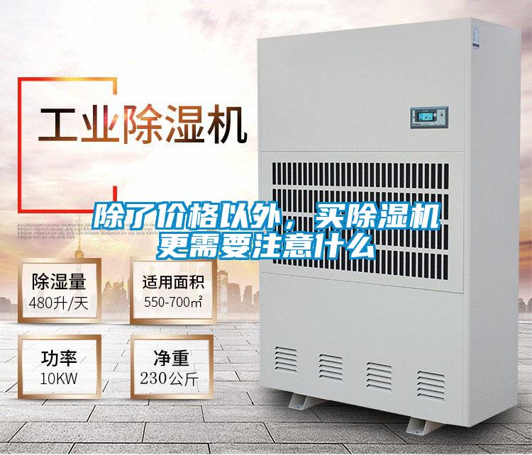 除了价格以外，买麻豆视频黄网站更需要注意什么
