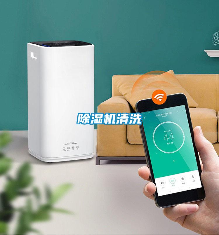 麻豆视频黄网站清洗