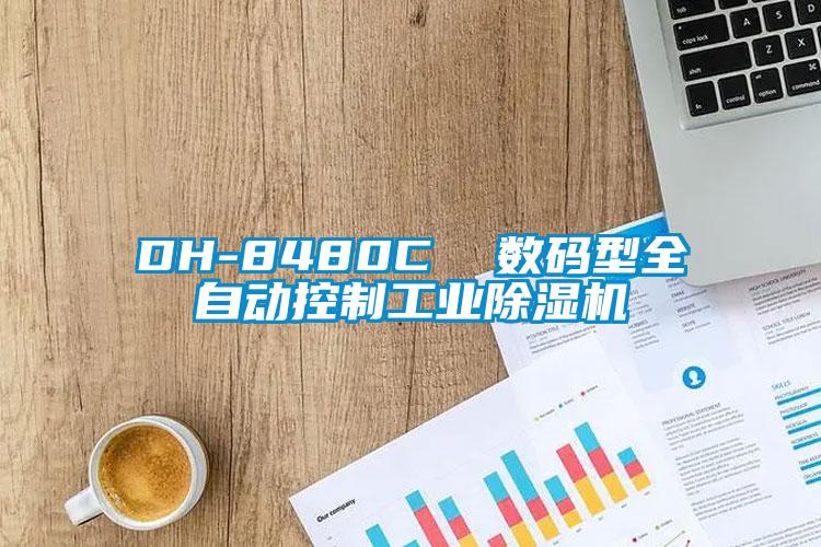 DH-8480C  数码型全自动控制工业麻豆视频黄网站