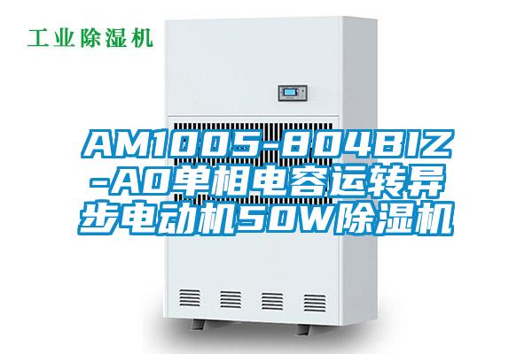 AM1005-804BIZ-A0单相电容运转异步电动机50W麻豆视频黄网站
