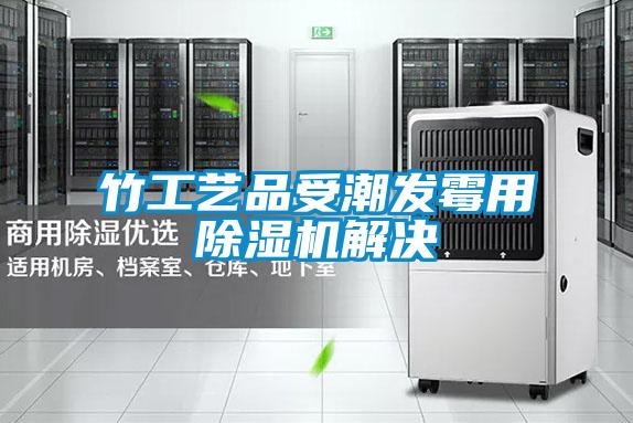 竹工艺品受潮发霉用麻豆视频黄网站解决