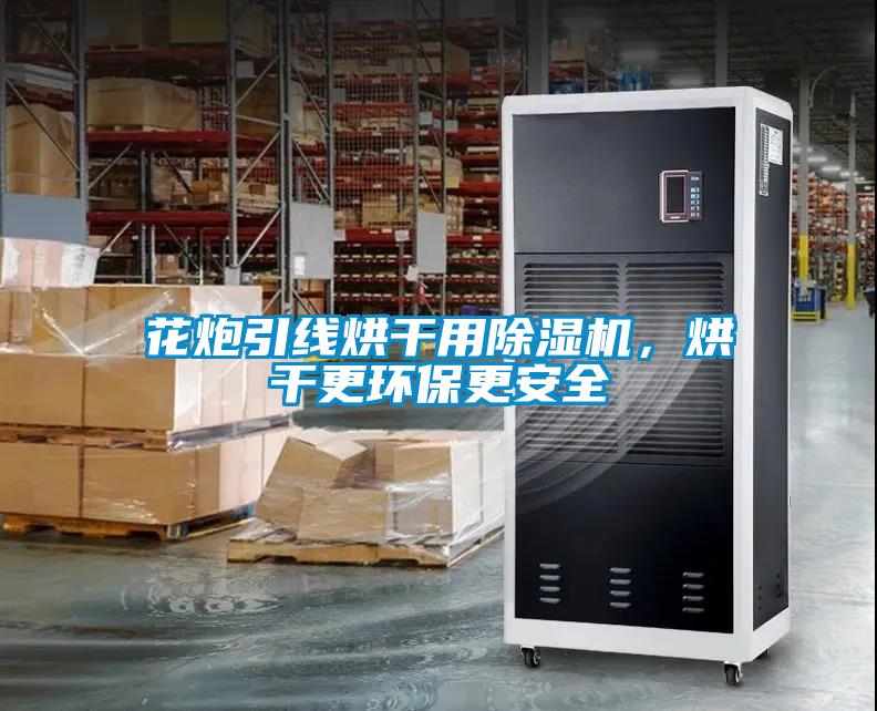 花炮引线烘干用麻豆视频黄网站，烘干更环保更安全