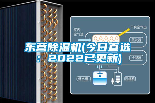 东营麻豆视频黄网站(今日直选：2022已更新)