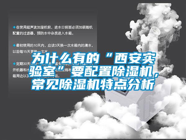 为什么有的“西安实验室”要配置麻豆视频黄网站，常见麻豆视频黄网站特点分析