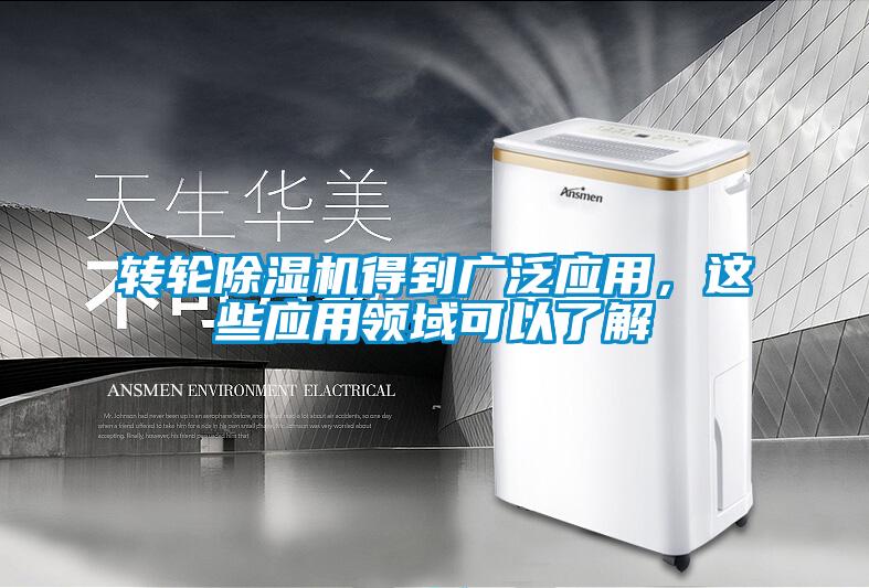转轮麻豆视频黄网站得到广泛应用，这些应用领域可以了解