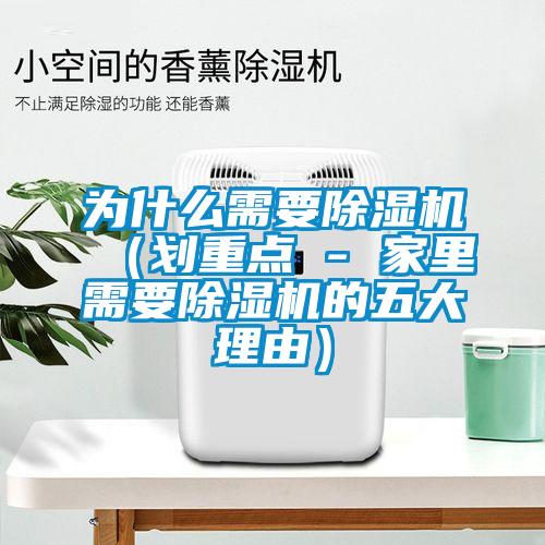 为什么需要麻豆视频黄网站（划重点 - 家里需要麻豆视频黄网站的五大理由）