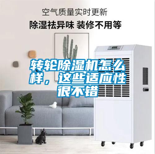 转轮麻豆视频黄网站怎么样，这些适应性很不错