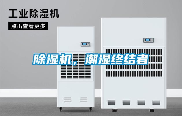 麻豆视频黄网站，潮湿终结者