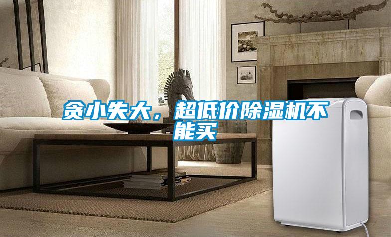 贪小失大，超低价麻豆视频黄网站不能买