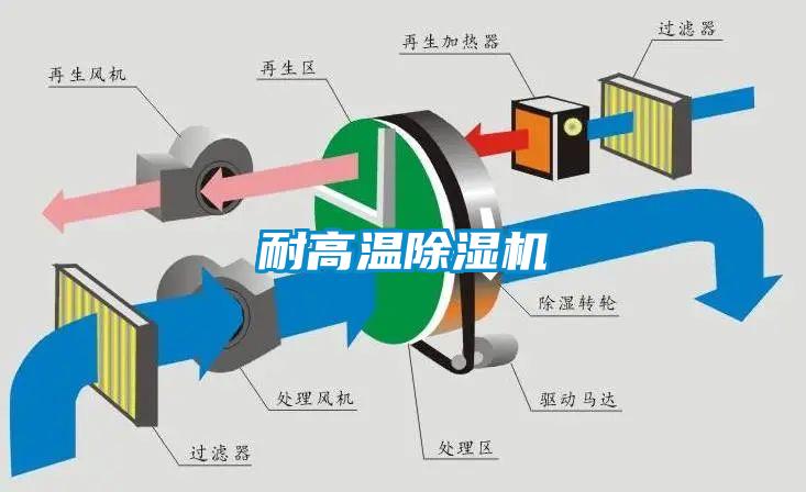 耐高温麻豆视频黄网站