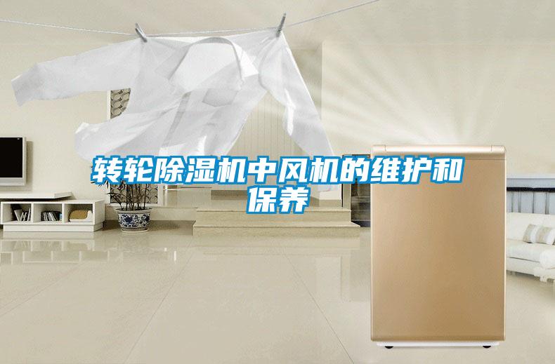 转轮麻豆视频黄网站中风机的维护和保养