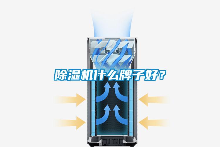 麻豆视频黄网站什么牌子好？