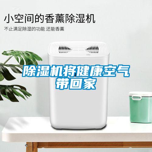 麻豆视频黄网站将健康空气带回家