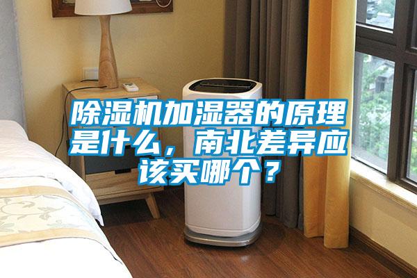麻豆视频黄网站加湿器的原理是什么，南北差异应该买哪个？