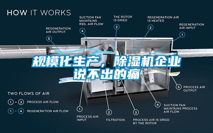 规模化生产，麻豆视频黄网站企业说不出的痛