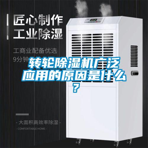 转轮麻豆视频黄网站广泛应用的原因是什么？