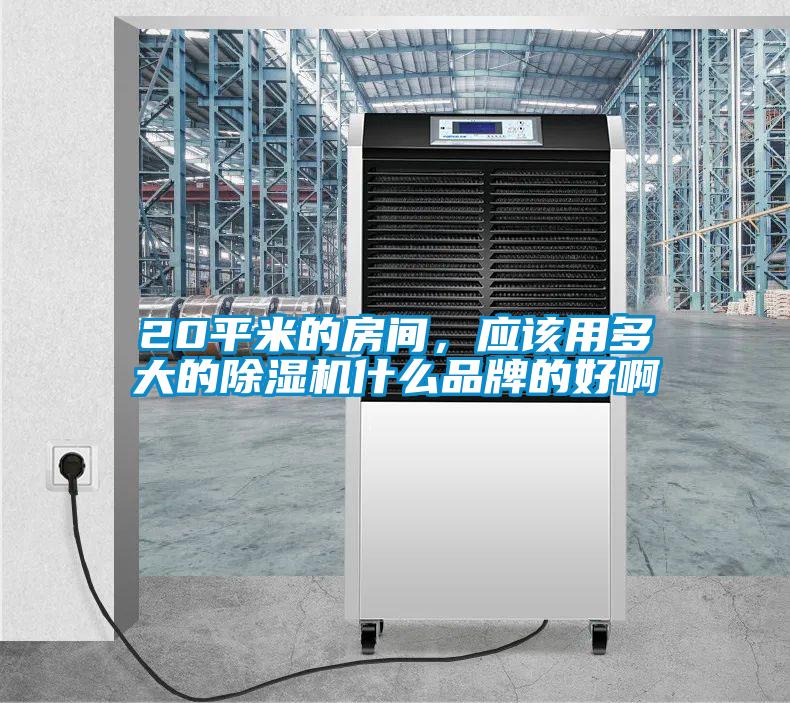 20平米的房间，应该用多大的麻豆视频黄网站什么品牌的好啊