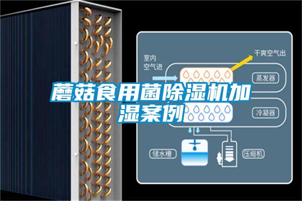 蘑菇食用菌麻豆视频黄网站加湿案例
