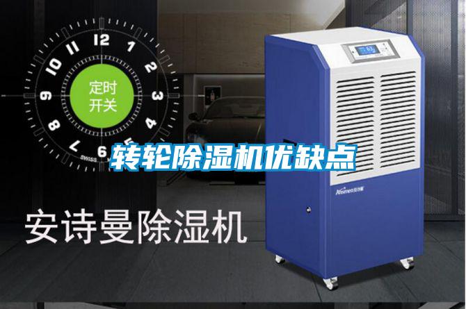 转轮麻豆视频黄网站优缺点