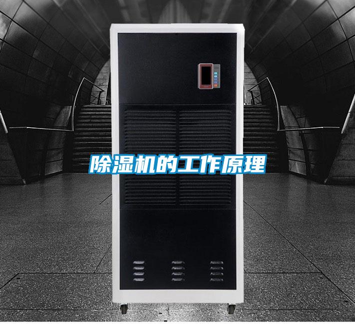 麻豆视频黄网站的工作原理
