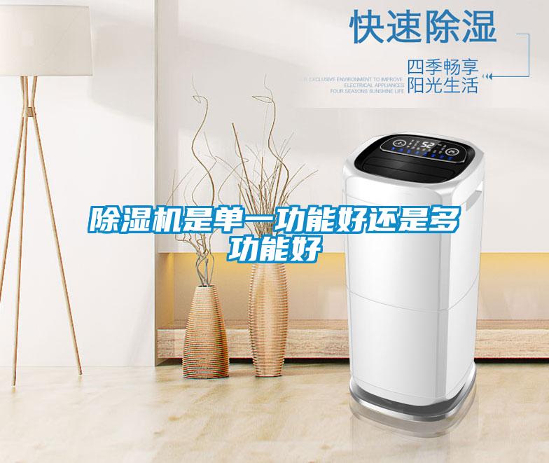 麻豆视频黄网站是单一功能好还是多功能好