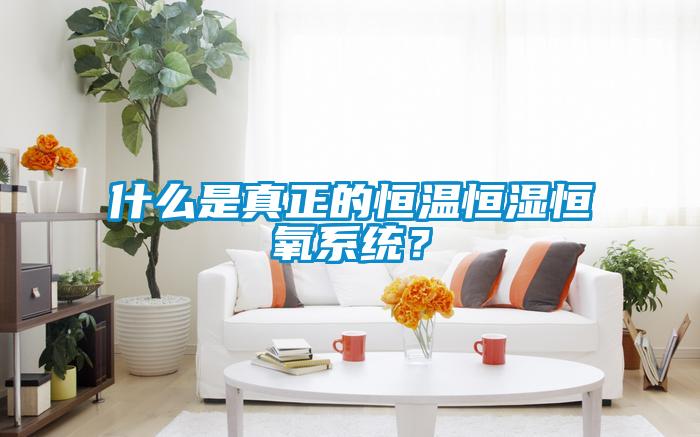 什么是真正的恒温恒湿恒氧系统？