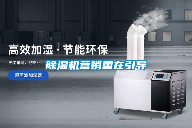 麻豆视频黄网站营销重在引导