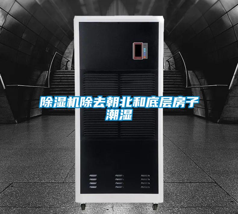 麻豆视频黄网站除去朝北和底层房子潮湿