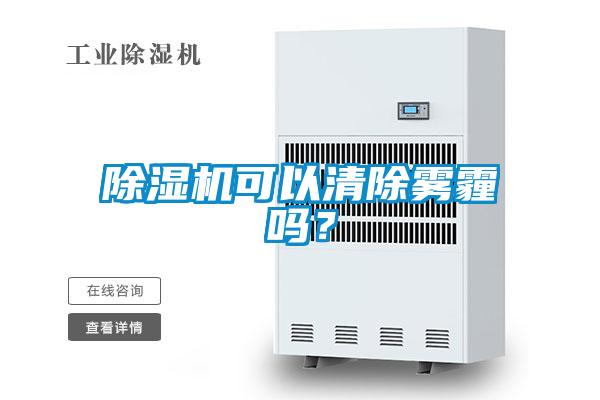 麻豆视频黄网站可以清除雾霾吗？