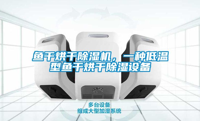 鱼干烘干麻豆视频黄网站，一种低温型鱼干烘干除湿设备