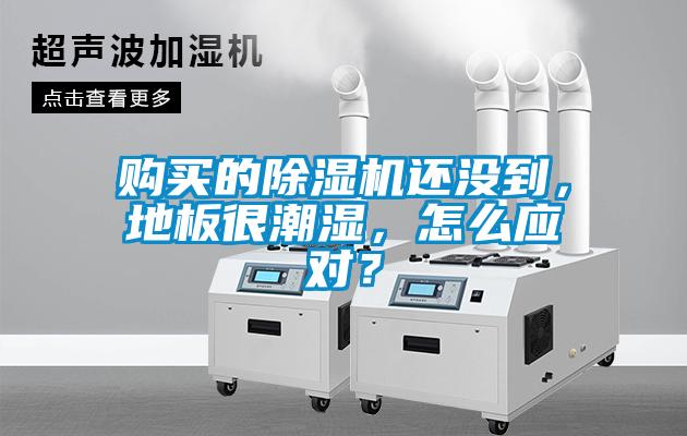 购买的麻豆视频黄网站还没到，地板很潮湿，怎么应对？