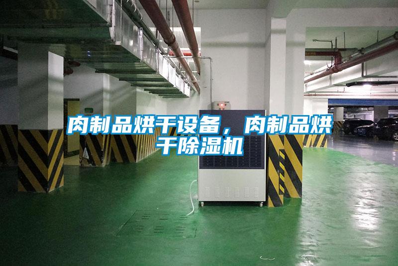 肉制品烘干设备，肉制品烘干麻豆视频黄网站