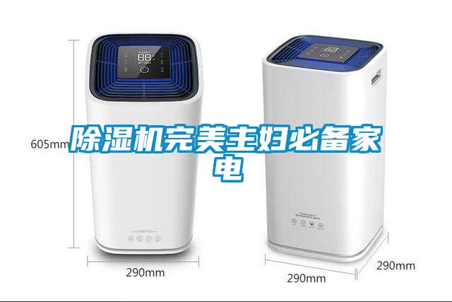麻豆视频黄网站完美主妇必备家电