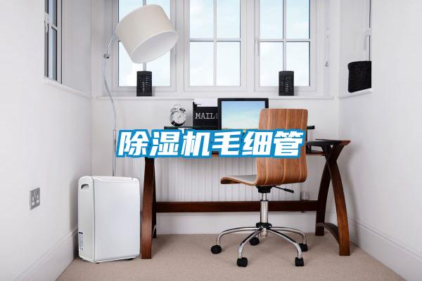 麻豆视频黄网站毛细管