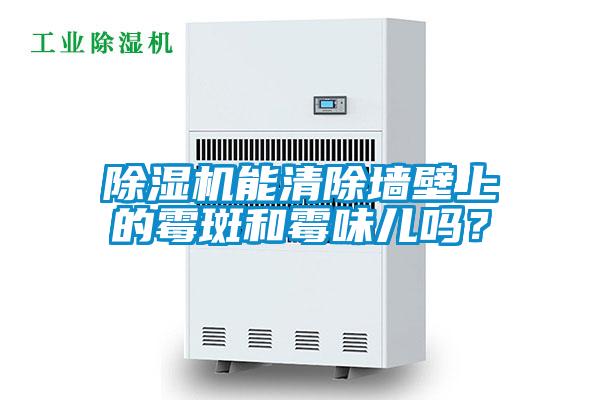 麻豆视频黄网站能清除墙壁上的霉斑和霉味儿吗？