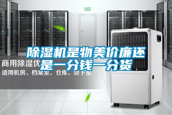 麻豆视频黄网站是物美价廉还是一分钱一分货